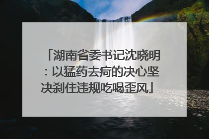 湖南省委书记沈晓明：以猛药去疴的决心坚决刹住违规吃喝歪风